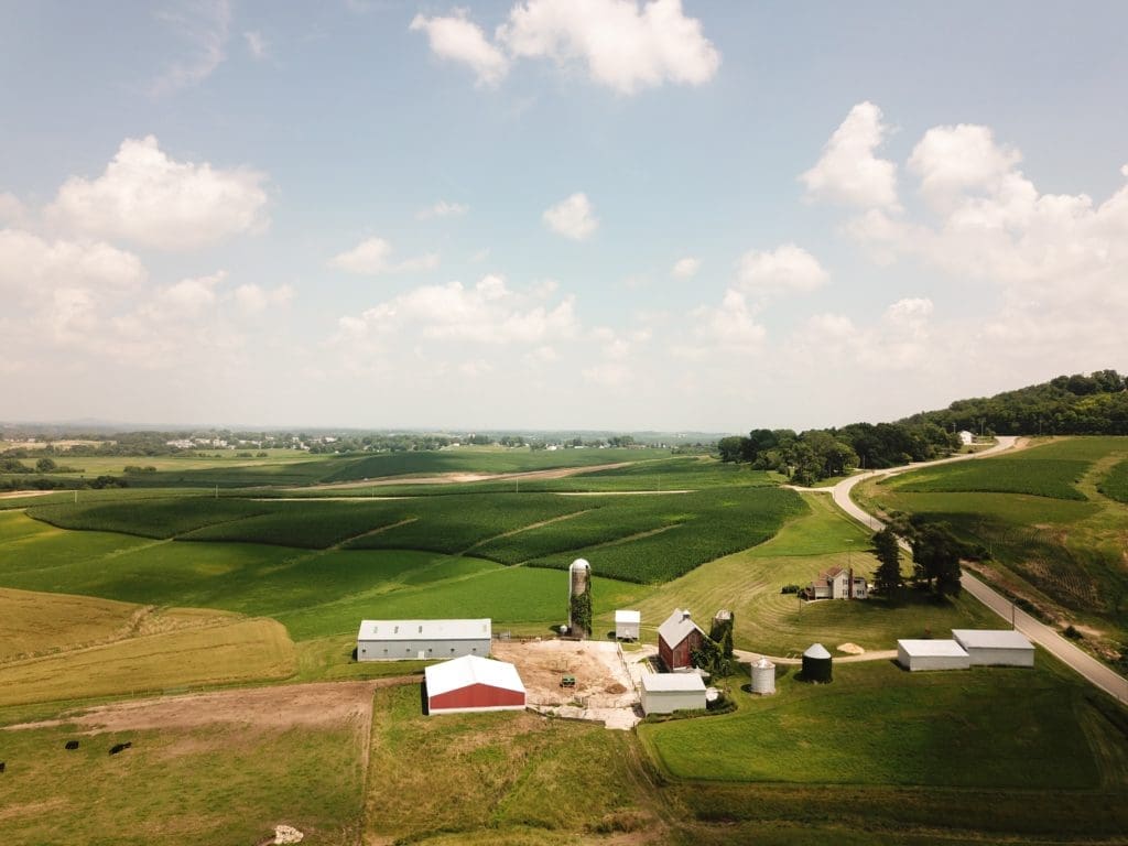 why-I-decided-to-stop-eating-beef-cattle-in-the-field.jpg