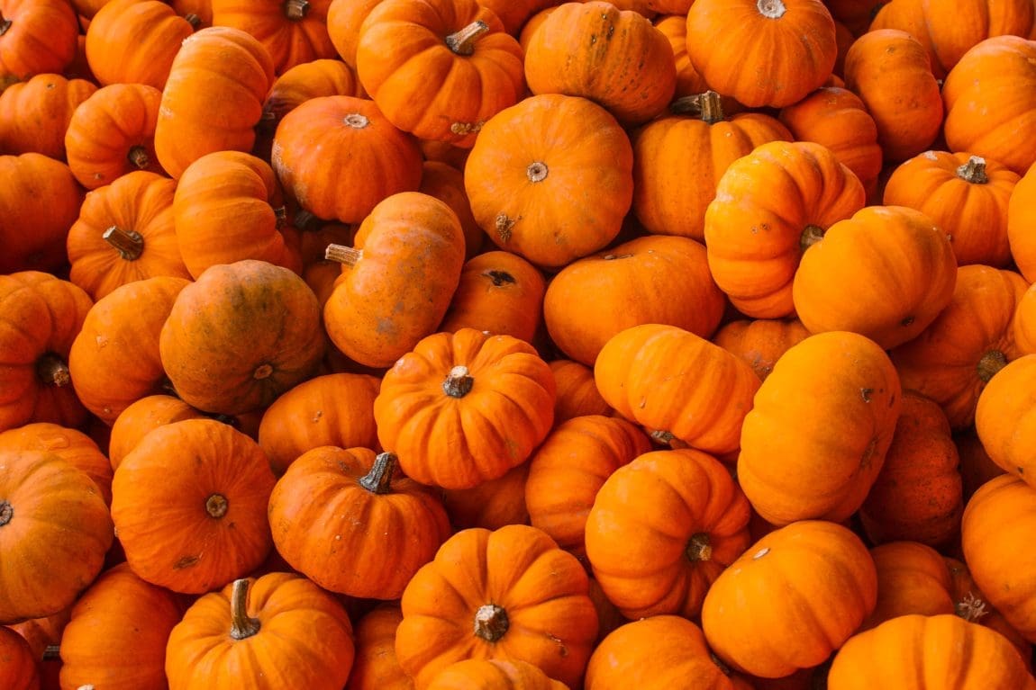 things-to-do-in-november-pumpkins