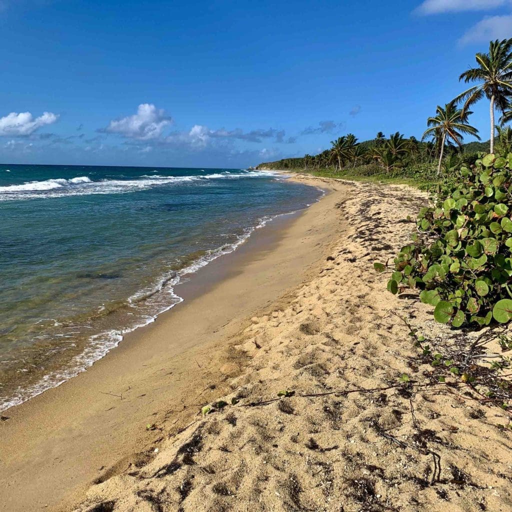 a-strip-of-beach-in-vieques