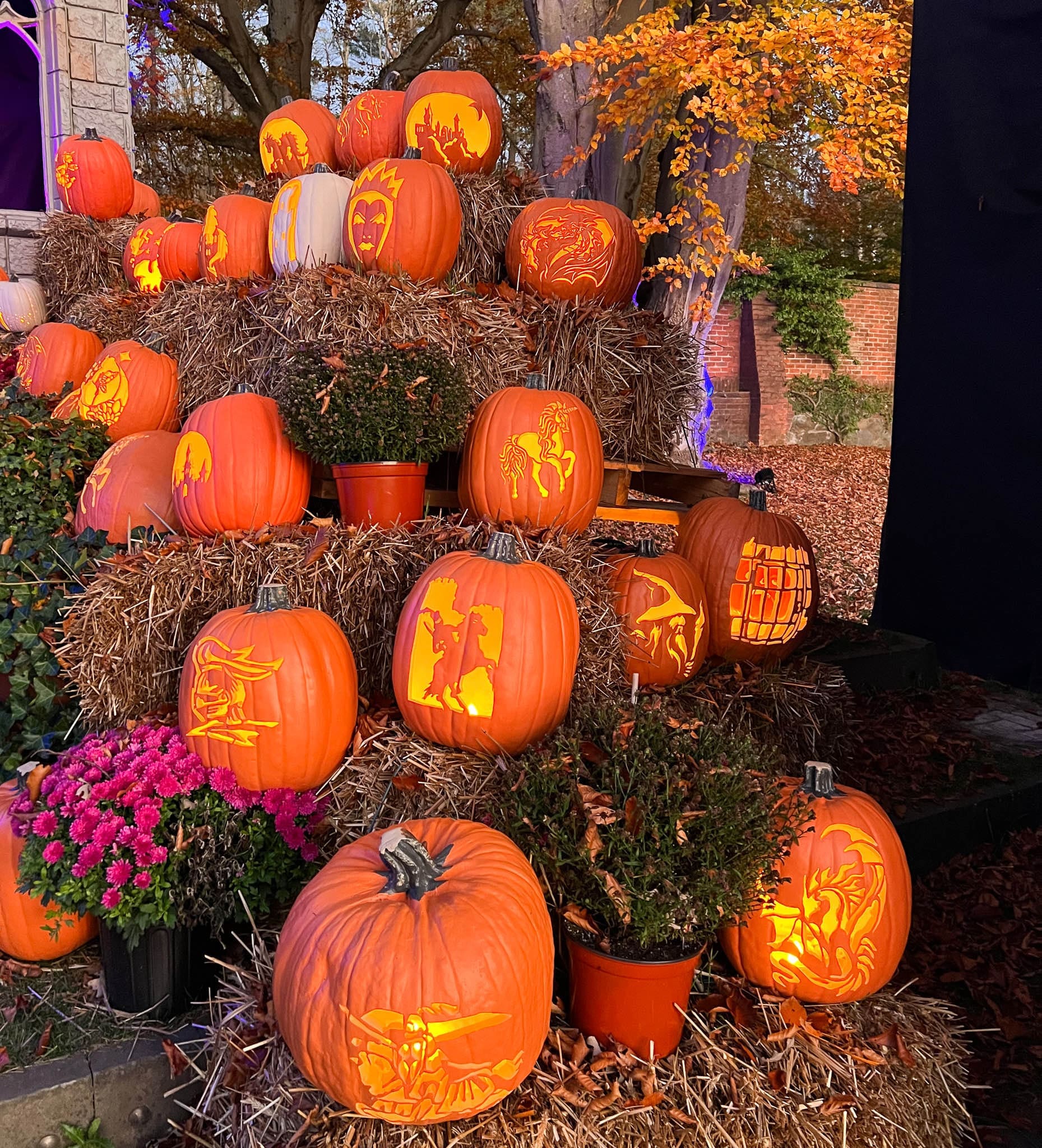 jack-o-lanterns-at-the-incredible-naumkeag-pumpkin-show-berkshires