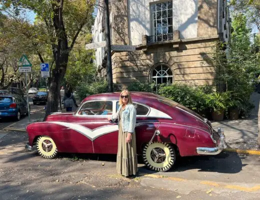 merry-enjoying-condesa-neighborhood-mexico-city